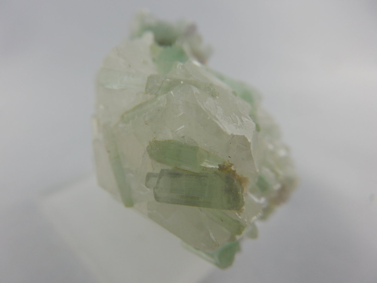 Tourmaline on Quartz