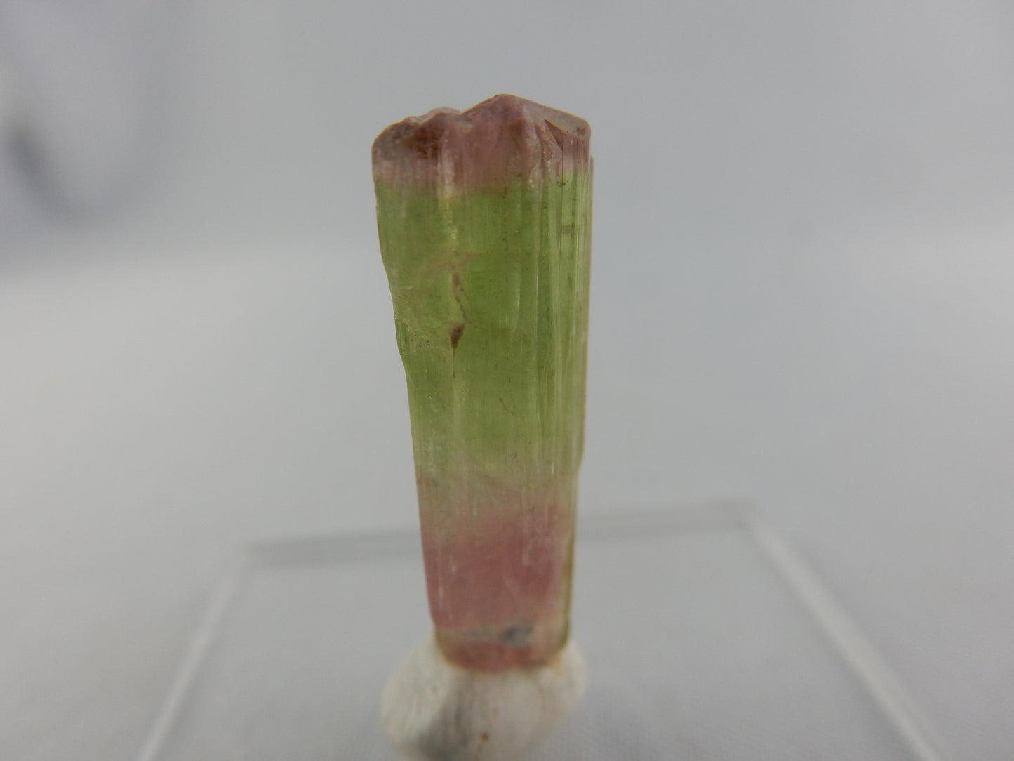 gemmy "reverse-watermelon" tourmaline! - red at tip and base, green in centre - multiple sharp terminations