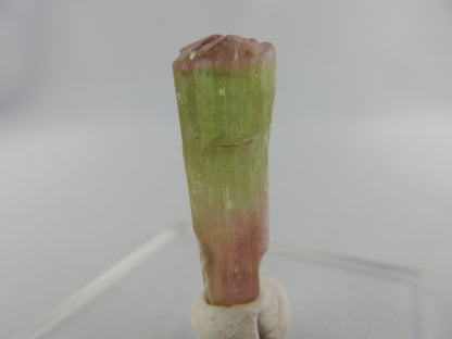 Tourmaline - tri-colour "Watermelon"