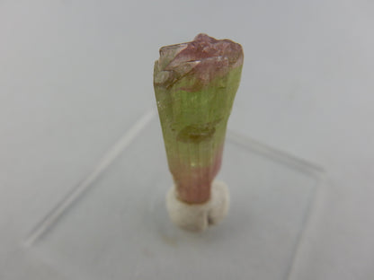Tourmaline - tri-colour "Watermelon"