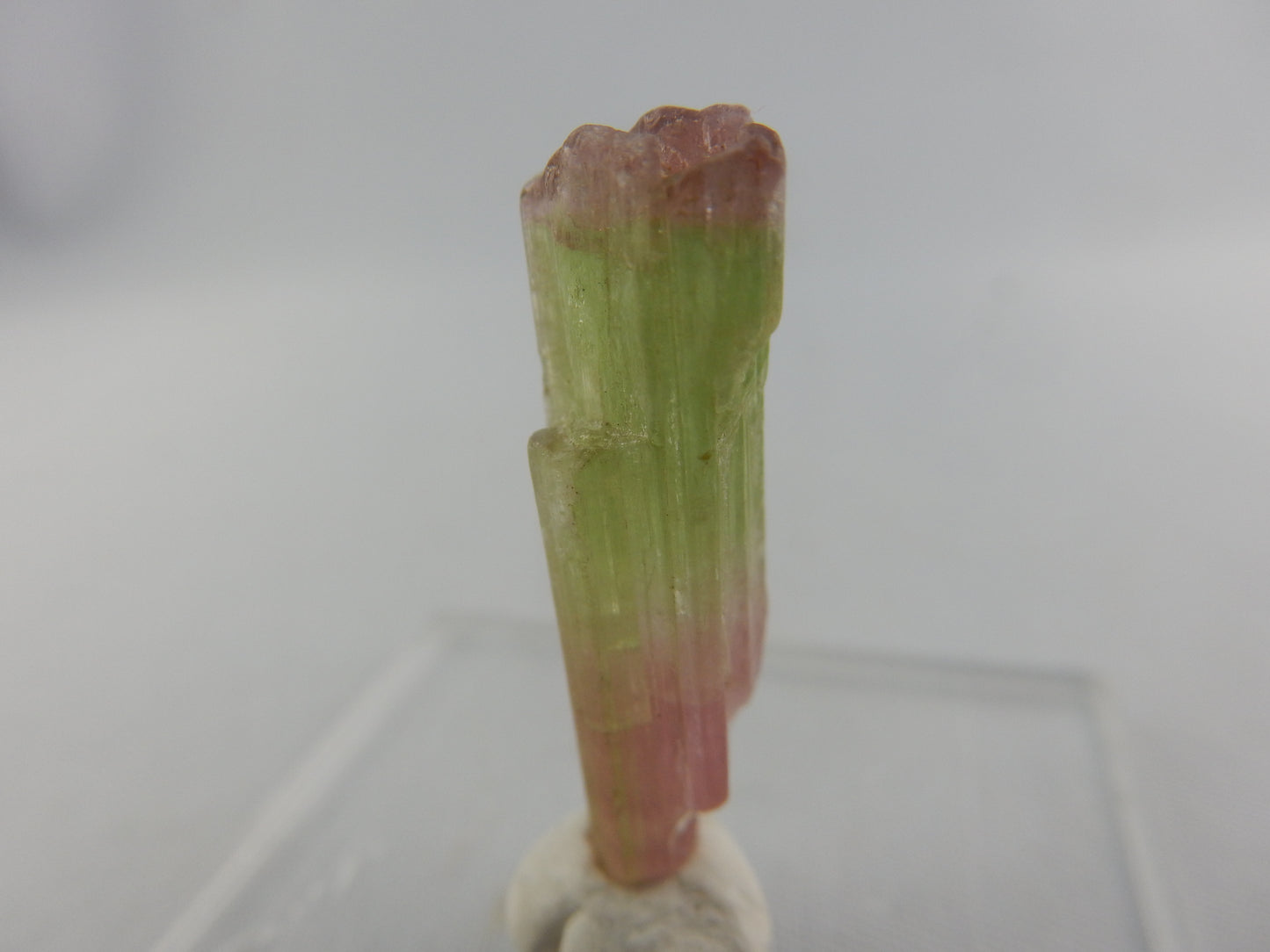 Tourmaline - tri-colour "Watermelon"