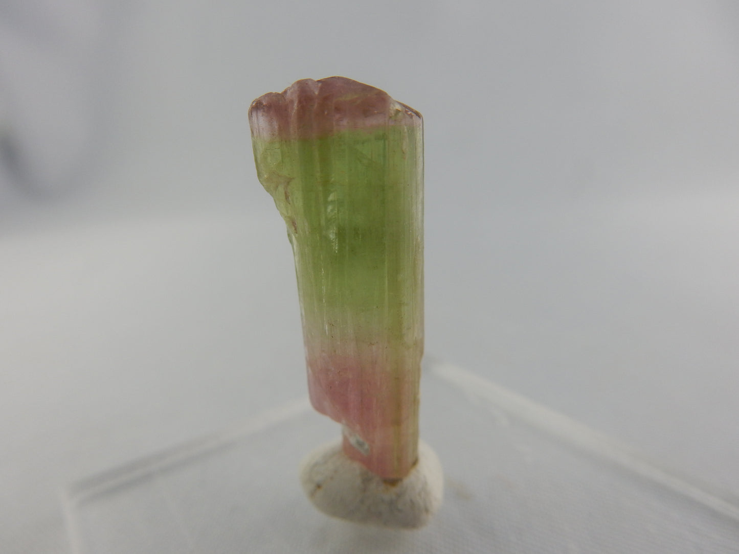 Tourmaline - tri-colour "Watermelon"