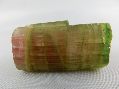 gorgeous specimen of much-desired "Watermelon" Tourmaline - perfect green "rind" and termination with ruby-red fruit centre