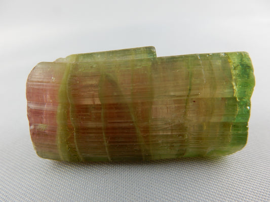 gorgeous specimen of much-desired "Watermelon" Tourmaline - perfect green "rind" and termination with ruby-red fruit centre