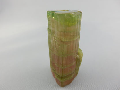 Tourmaline Watermelon