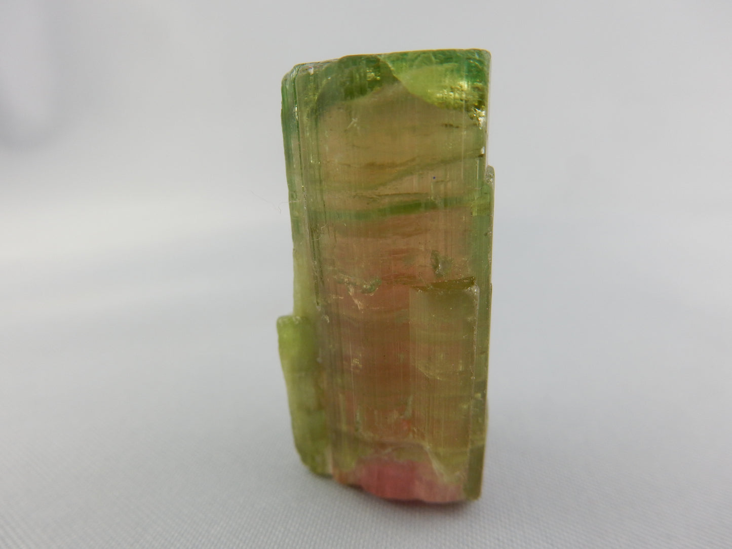 Tourmaline Watermelon