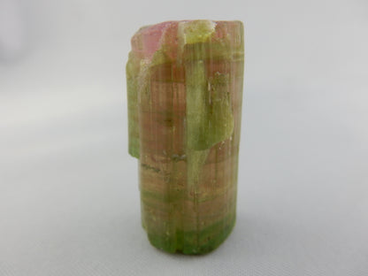 Tourmaline Watermelon