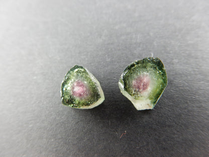 Watermelon Tourmaline Slices Lot (2 pcs)