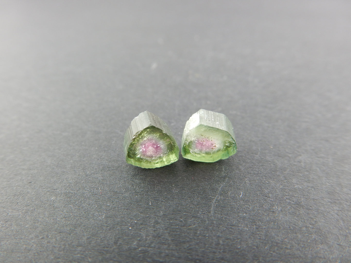 Watermelon Tourmaline Slices Lot (2 pcs)