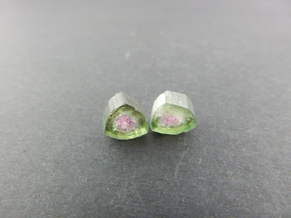 Watermelon Tourmaline Slices Lot (2 pcs)