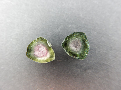 Watermelon Tourmaline Slices Lot (2 pcs)