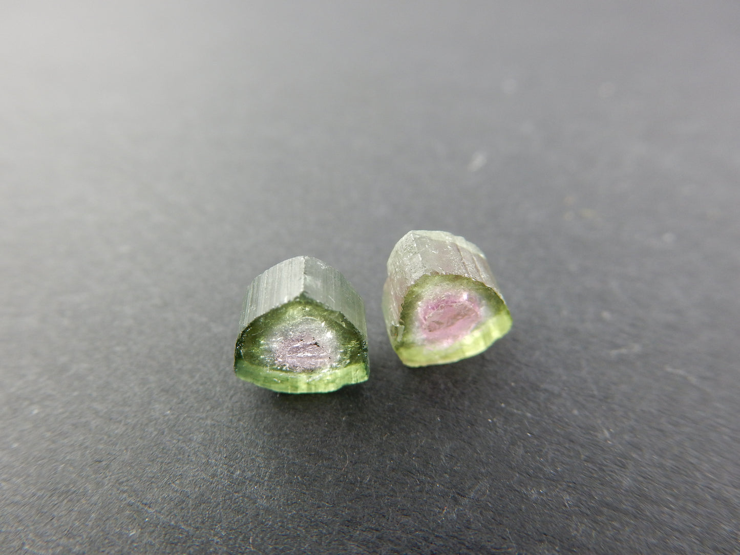 Watermelon Tourmaline Slices Lot (2 pcs)