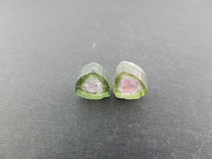 Watermelon Tourmaline Slices Lot (2 pcs)