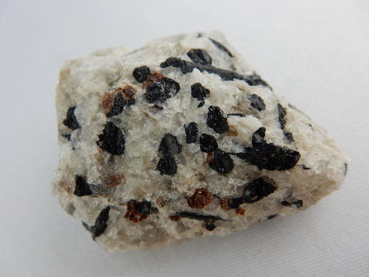 black tourmalines and mix of red garnets in white marble matrix