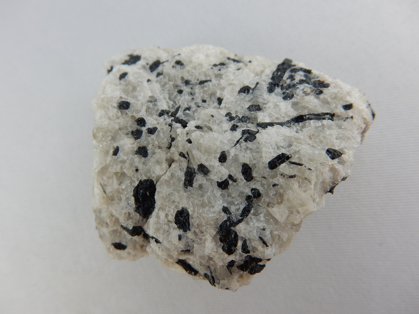 Black Tourmaline and Garnet in Marble