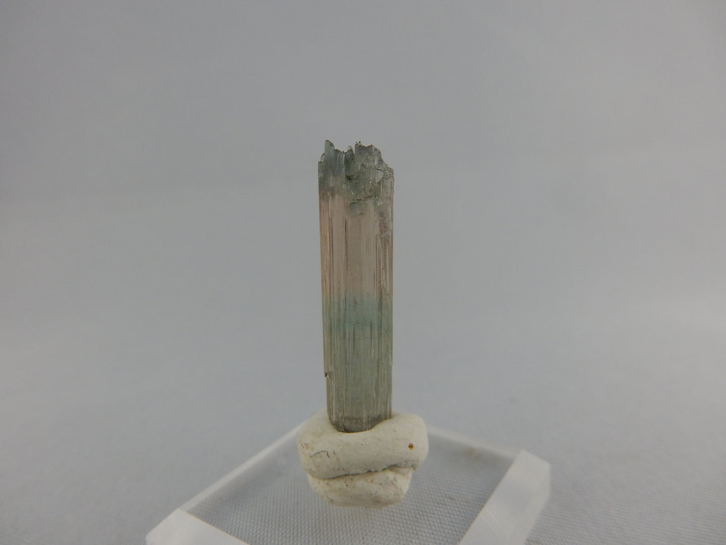 Beautiful tri-coloured well-terminated Tourmaline from classic locality - Minas Gerais!