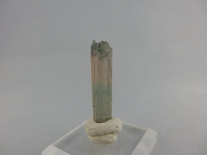 Beautiful tri-coloured well-terminated Tourmaline from classic locality - Minas Gerais!