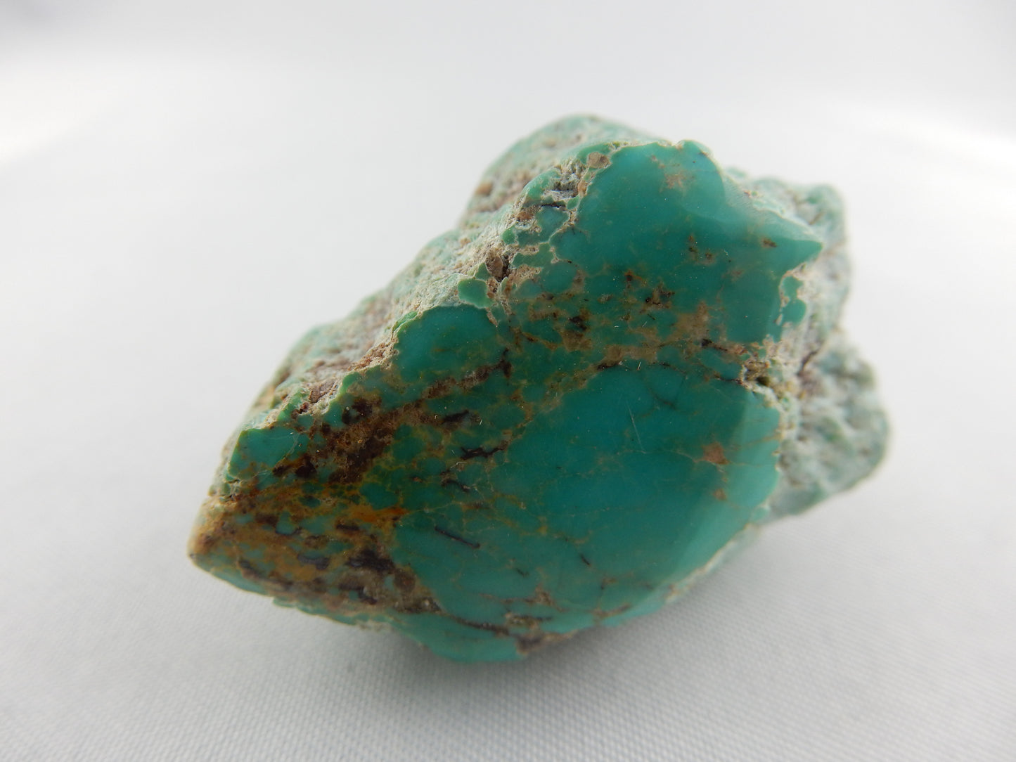 Turquoise - distinctive green-blue Evans Mine, polished one face, nice nugget