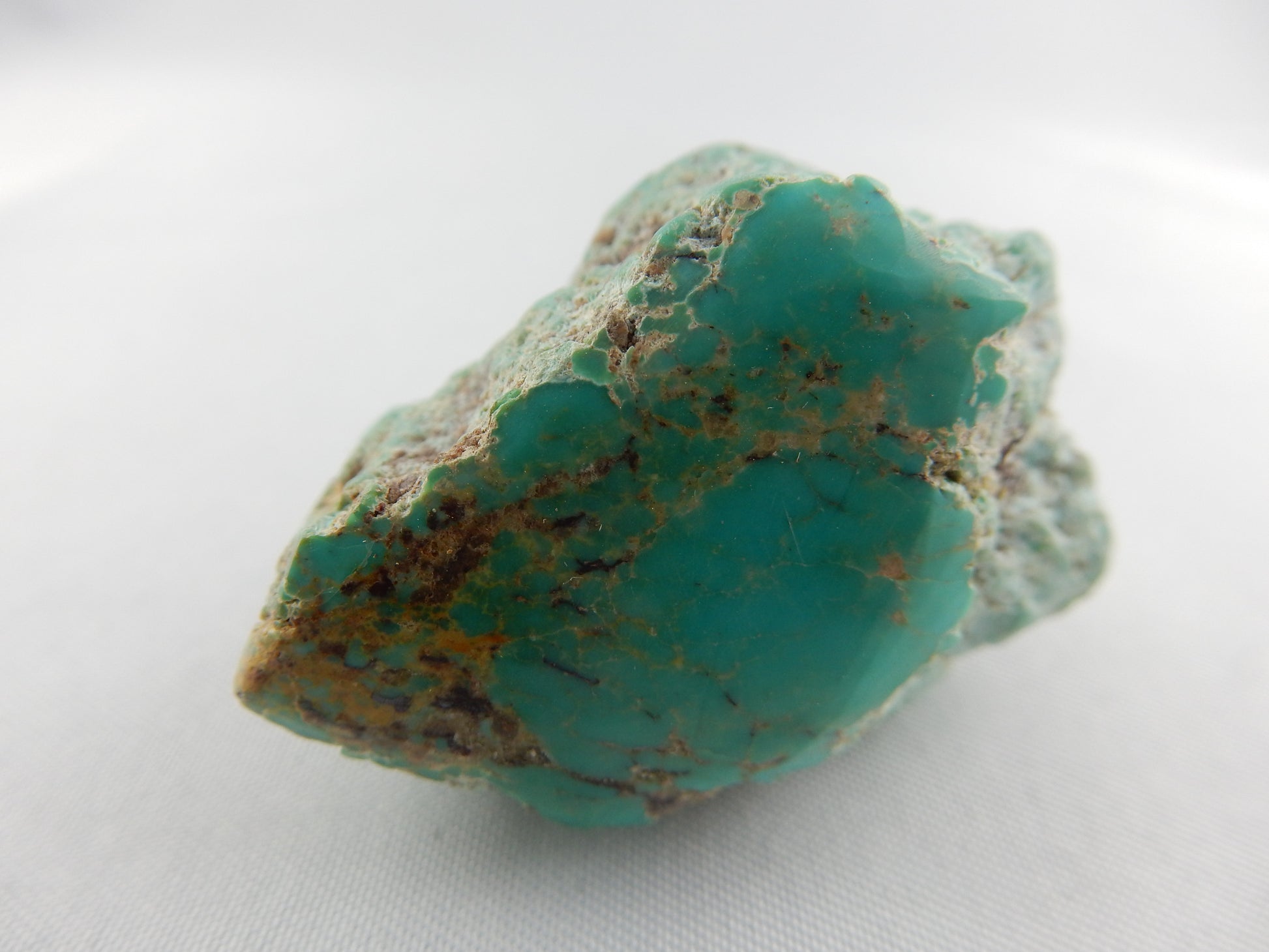 Turquoise - distinctive green-blue Evans Mine, polished one face, nice nugget