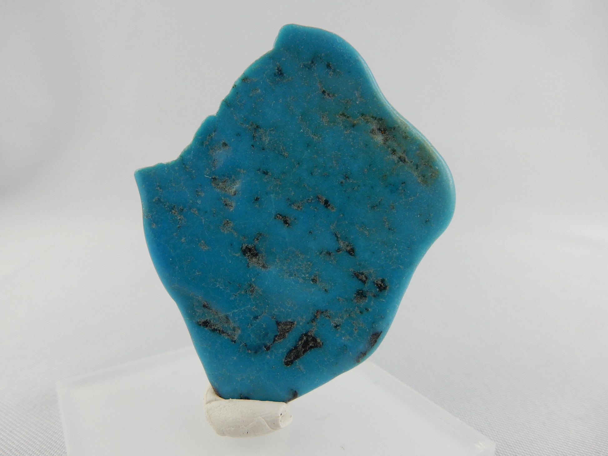 Turquoise - classic "spider-web" pattern and intense colour saturation, famous Kingman Mine, AZ