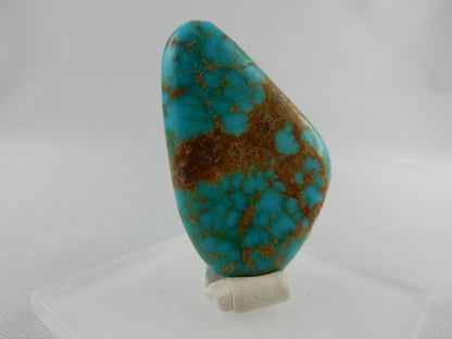 Turquoise - intense dark blue both sides polished - Blue Diamond Mine, Nevada