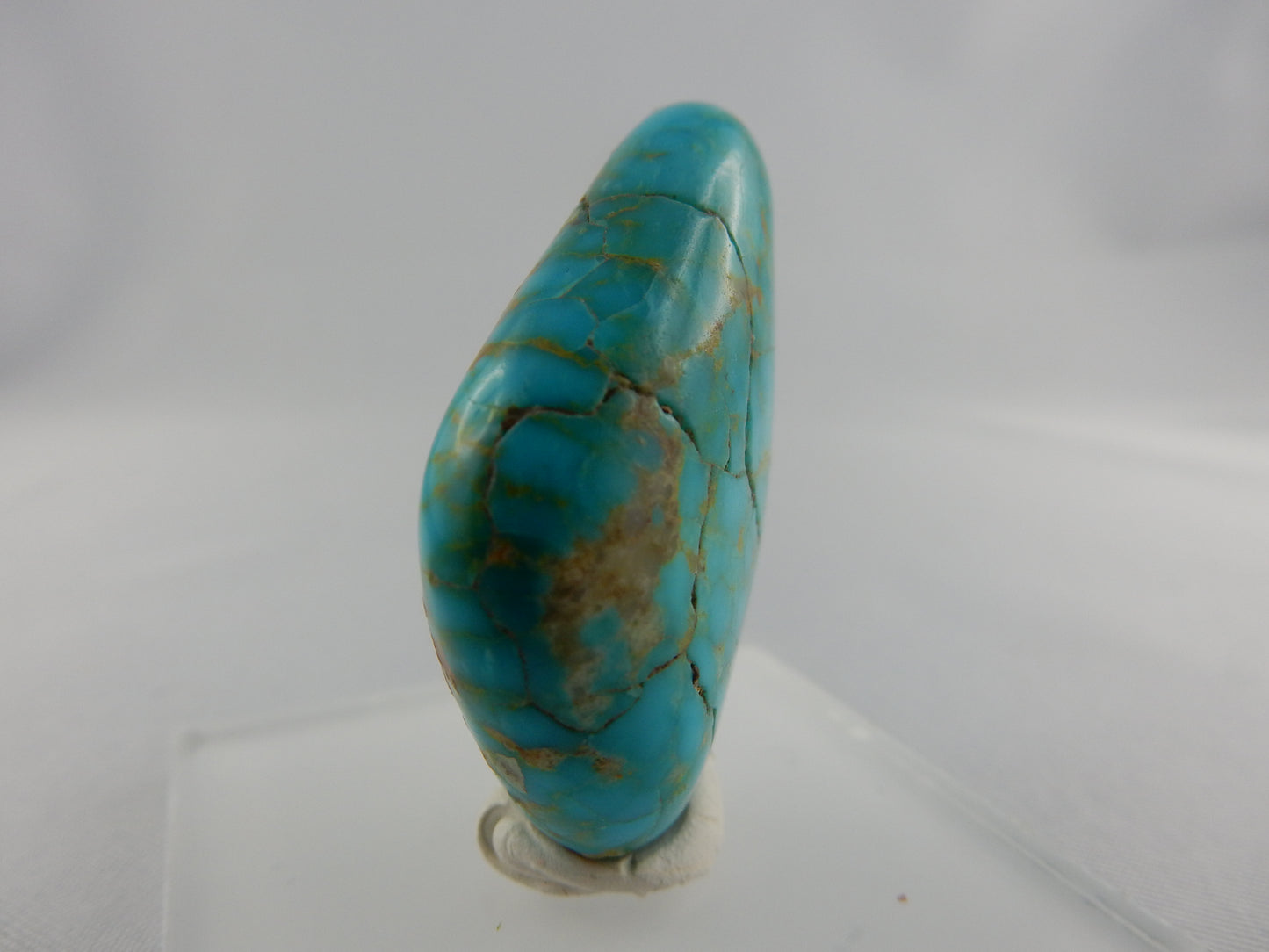Turquoise - Blue Diamond Mine USA