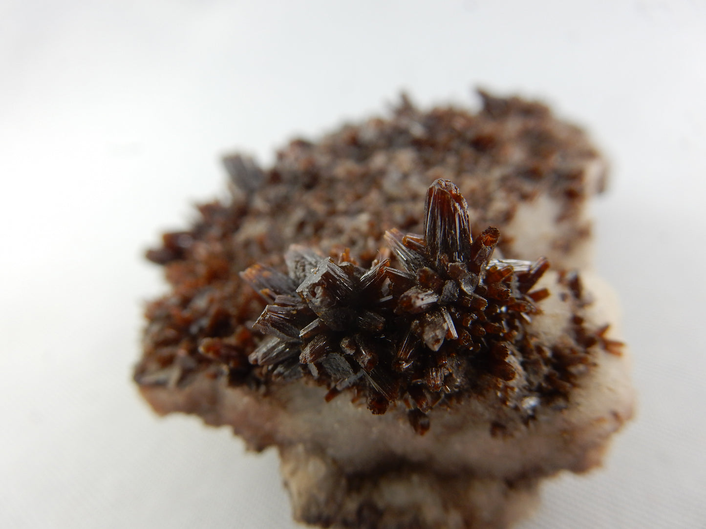 Vanadinite - var. Endlichite