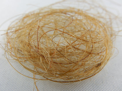 1.0g genuine woolley mammoth hair from frozen Taiga permafrost fossils in Siberia! - Ice Age 800,000 yeas ago