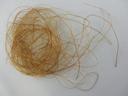 Woolly Mammoth Hair