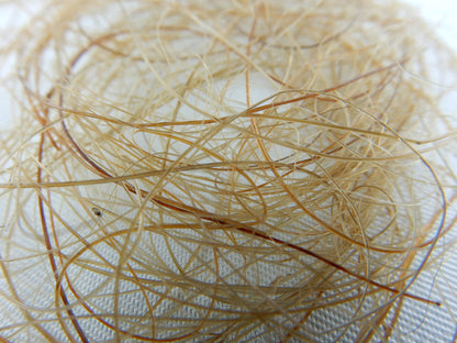 Woolly Mammoth Hair