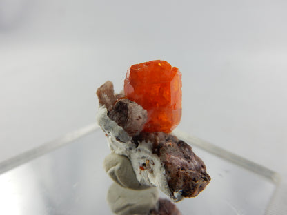 Wulfenite - Red Cloud Mine on matrix