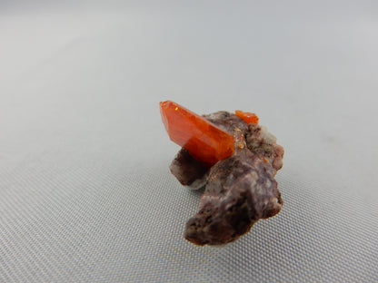 Wulfenite - Red Cloud Mine on matrix