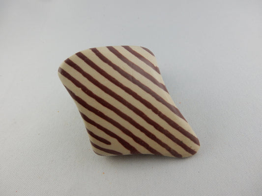 Distinctive "striped" mudstone come agrillite, nice polished specimen