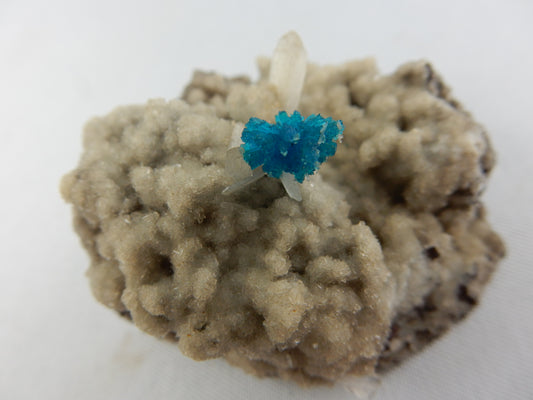 perfect specimen of Blue Cavansite perched on a bed of dolomite/quartz