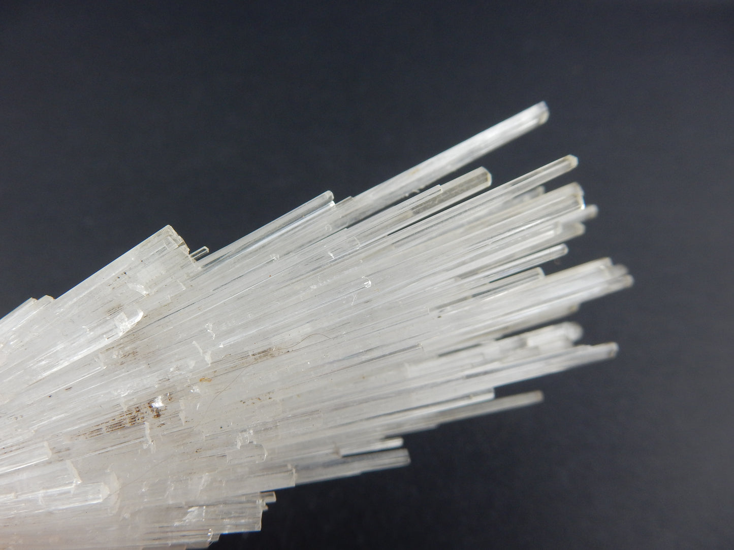 Scolecite