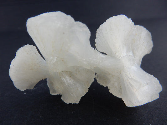 incredible "Floater" cluster of 6 x "bow-ties" of shiny Stilbite
