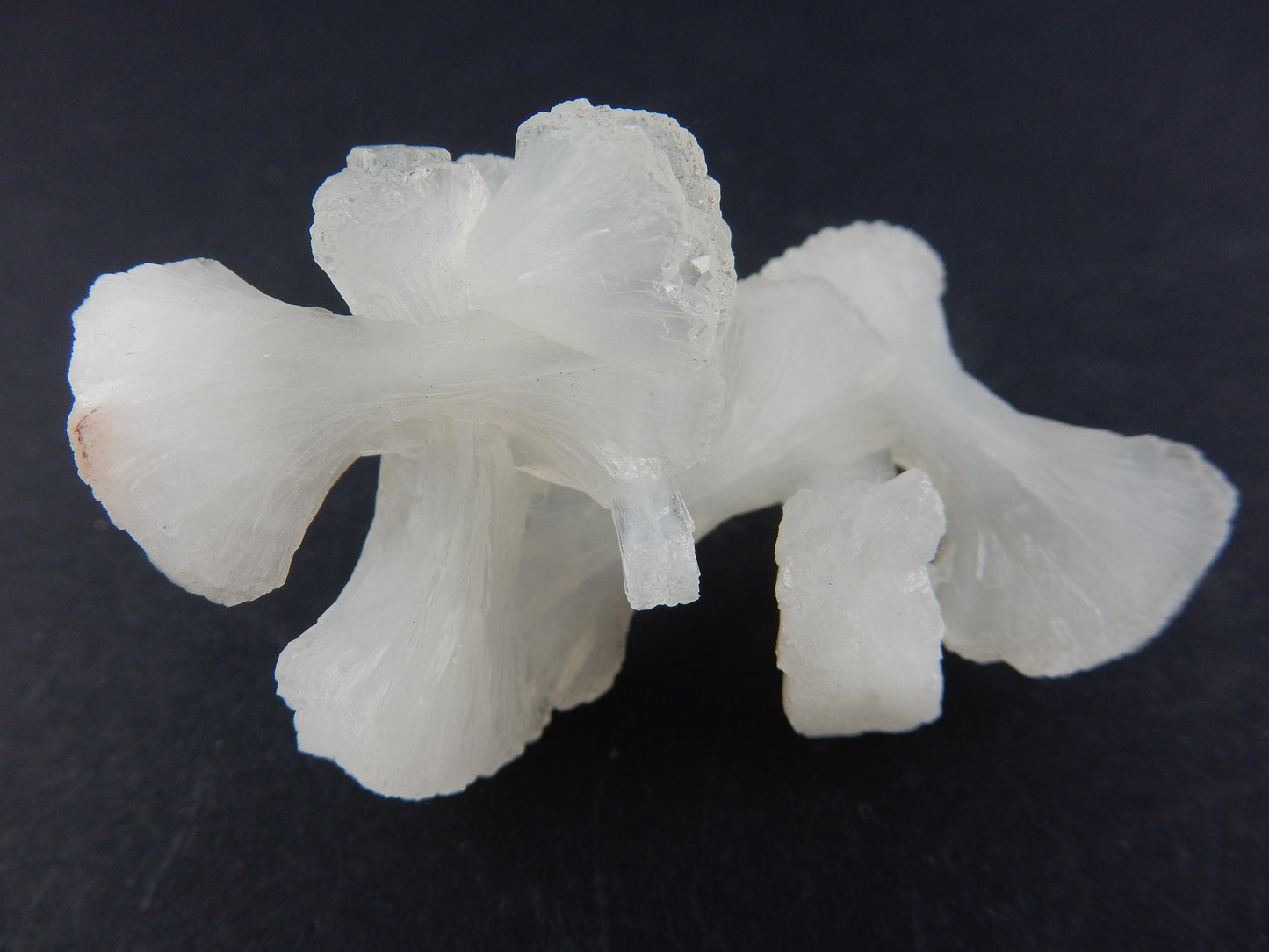Stilbite "Bowtie Cluster"