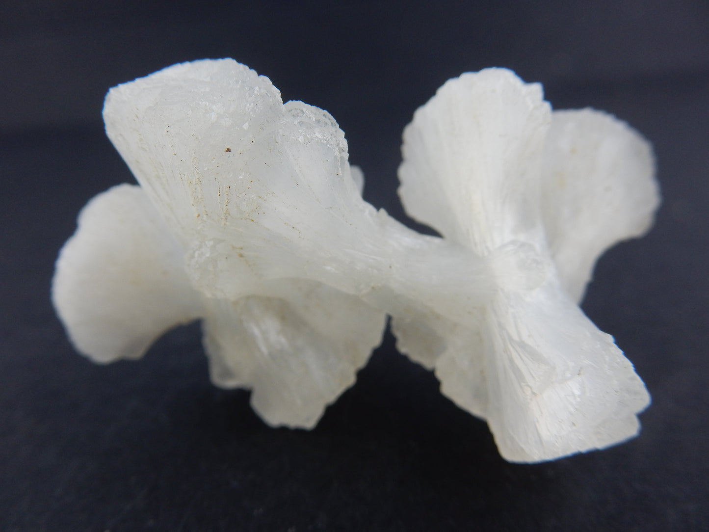 Stilbite "Bowtie Cluster"