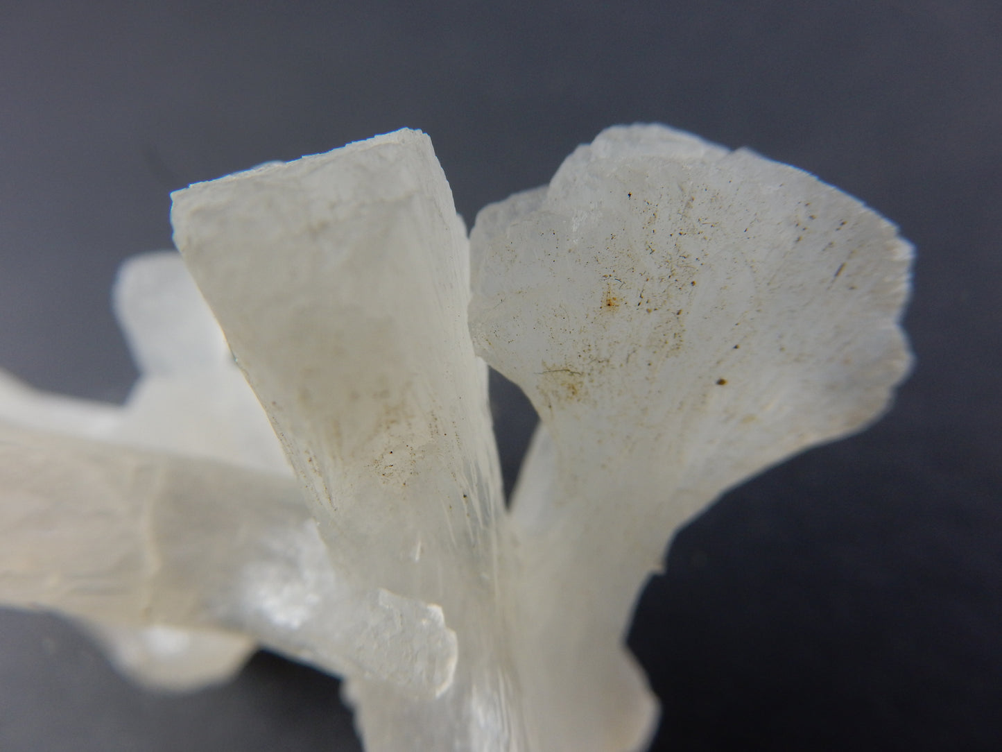 Stilbite "Bowtie Cluster"