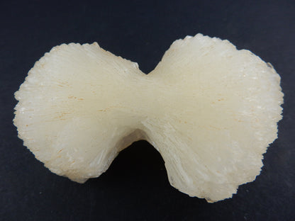 huge single "Floater" perfect "bow-ties" of shiny Stilbite