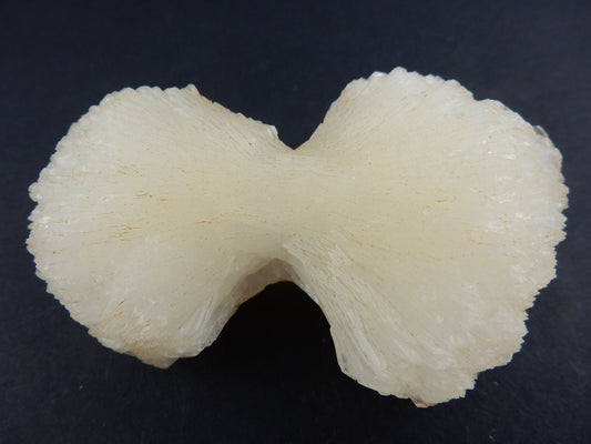 huge single "Floater" perfect "bow-ties" of shiny Stilbite
