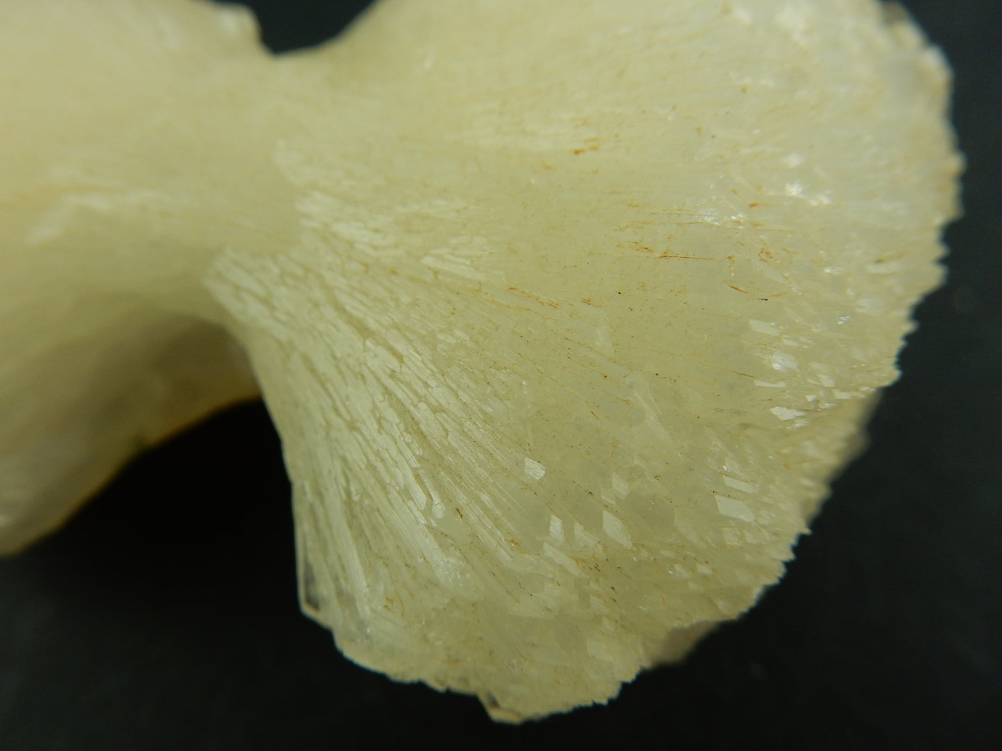 Stilbite - Bow-Tie large