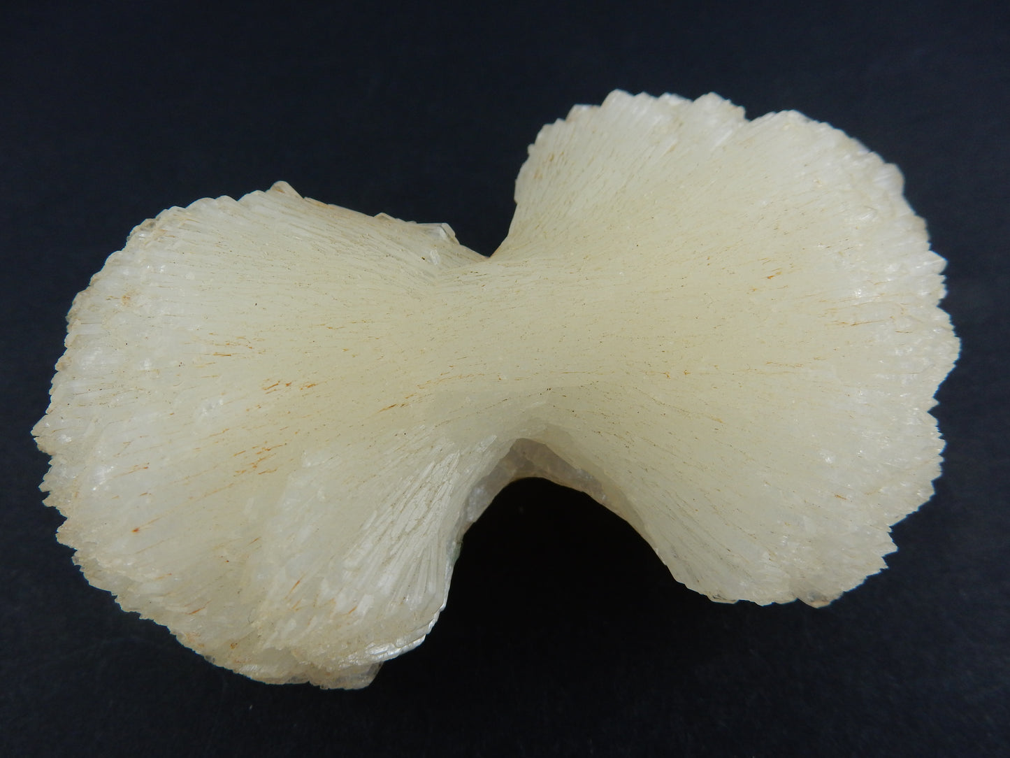 Stilbite - Bow-Tie large