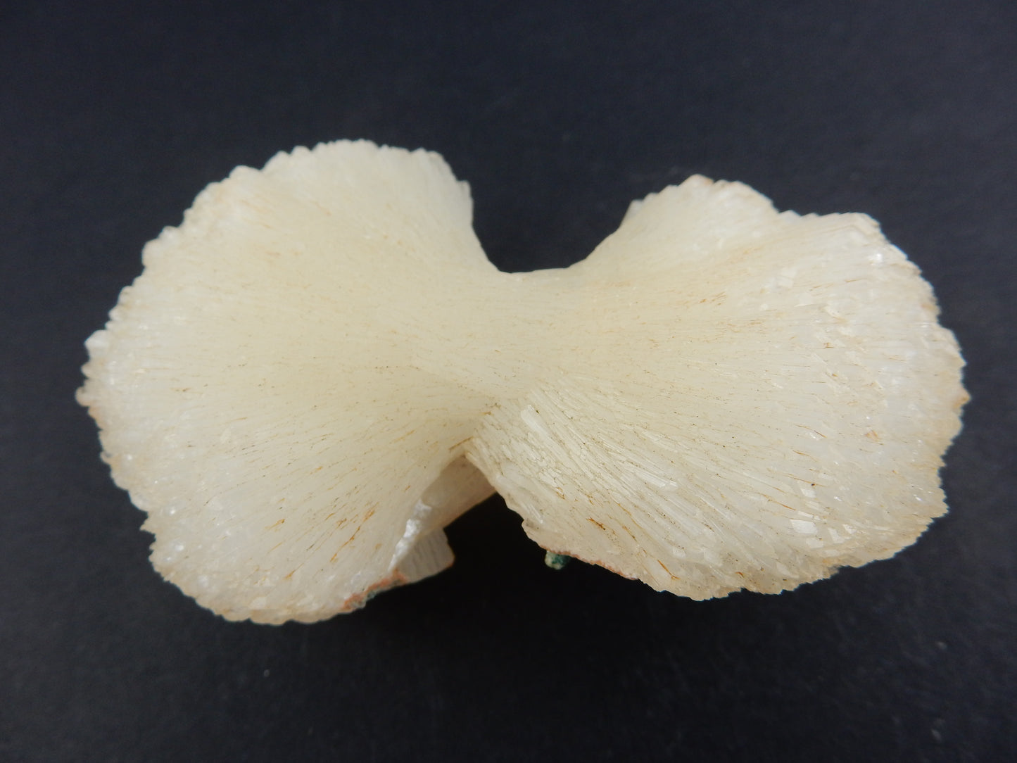 Stilbite - Bow-Tie large