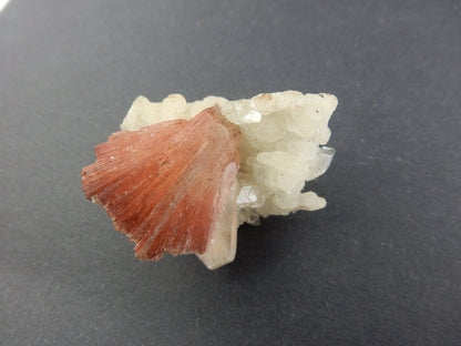Perfect red-brown "bow-tie" crystal of stilbite intersecting a sparkly bed of apophyllite crystals