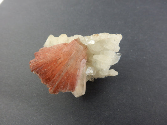 Perfect red-brown "bow-tie" crystal of stilbite intersecting a sparkly bed of apophyllite crystals