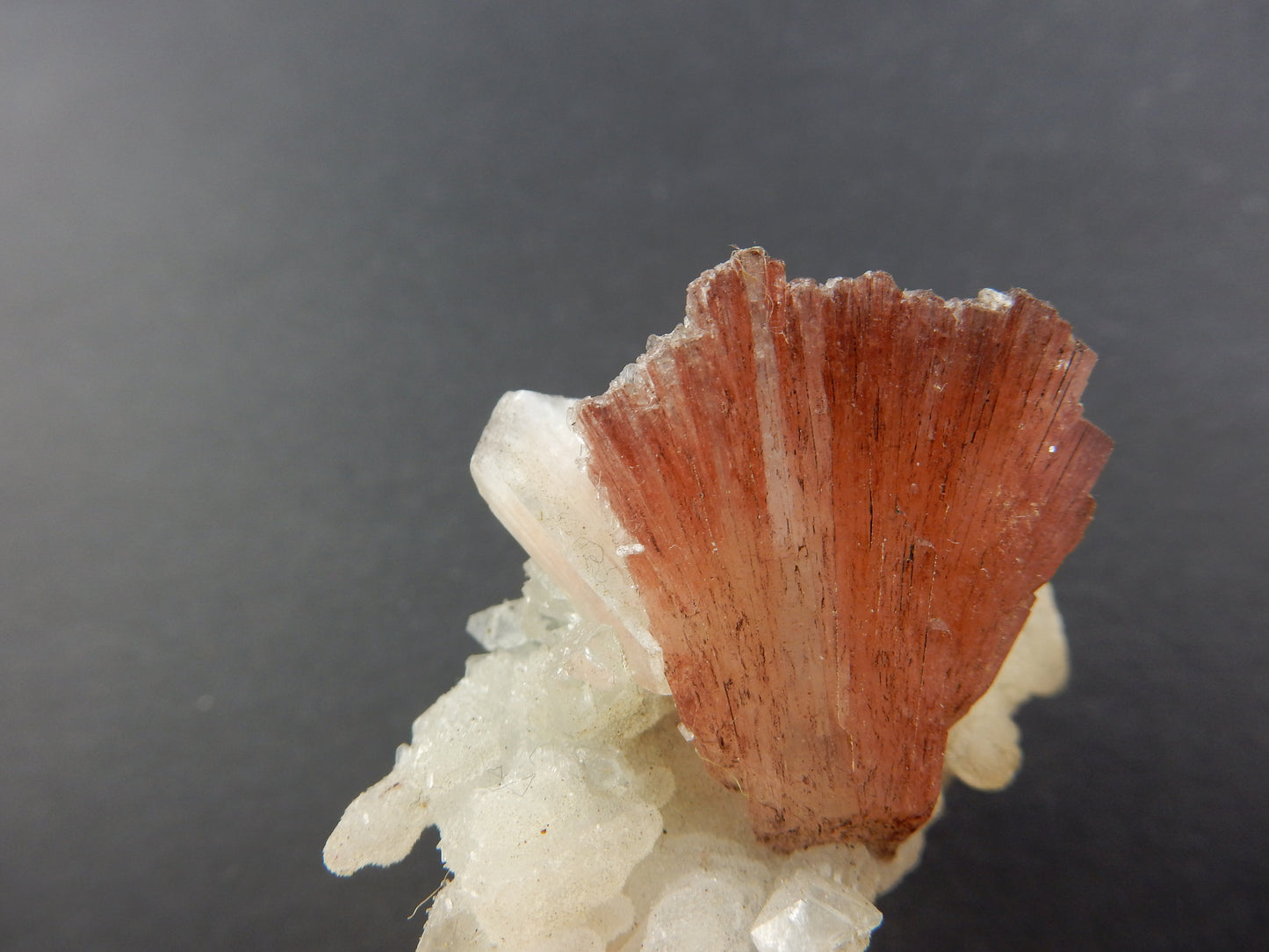Stilbite and Apophyllite