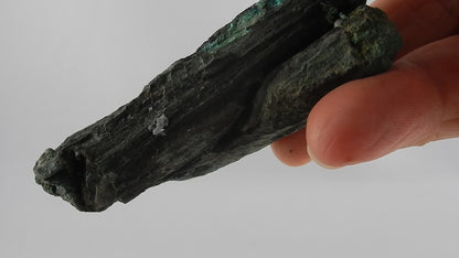 Petrified Wood - Silver RARE