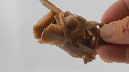 Gypsum "Sand Crystals"