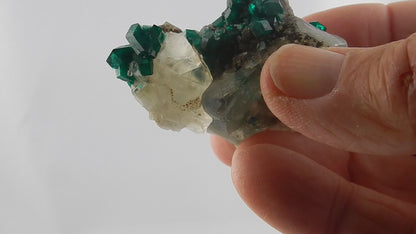Dioptase - BIG Crystals